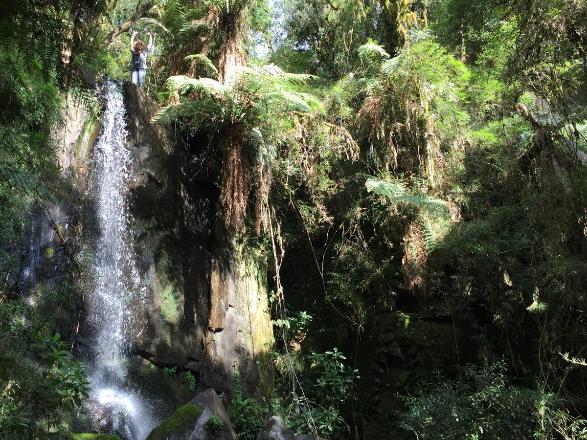 Fazenda Morro Das Torres Urupema Buitenkant foto