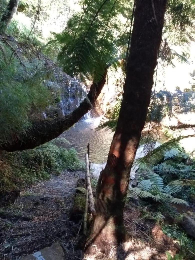 Fazenda Morro Das Torres Urupema Buitenkant foto