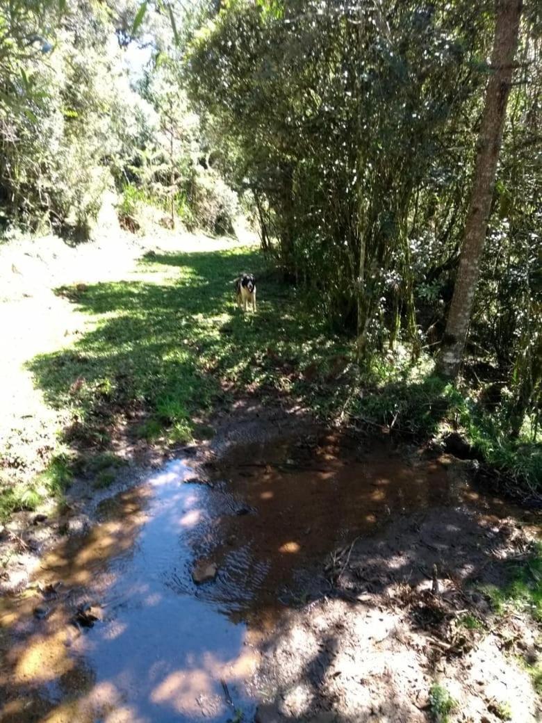 Fazenda Morro Das Torres Urupema Buitenkant foto